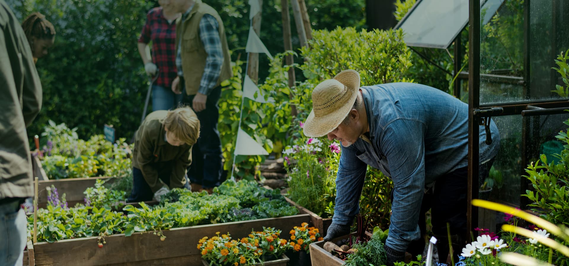 Black Soil Is Extremely Fertile, The Cause Of Fertility Is Humic Acid.