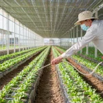 Functional Fertilizers: How to Use Them Like a Pro (or at Least Like Someone Who