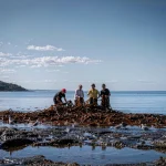 “The Agricultural Enabler from the North Atlantic: The Green Cultivation C