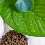 The Role of Organic Amino Acid Fertilizers in Sustainable Agriculture