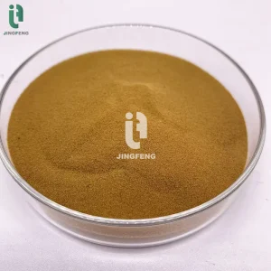 Enzymatic Brown Seaweed Extract Powder — close-up