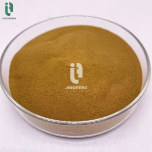 No NPK Brown Seaweed Extract Powder — close-up